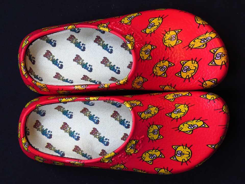 Shoes slippers dutch