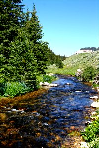 Mountain Stream photo