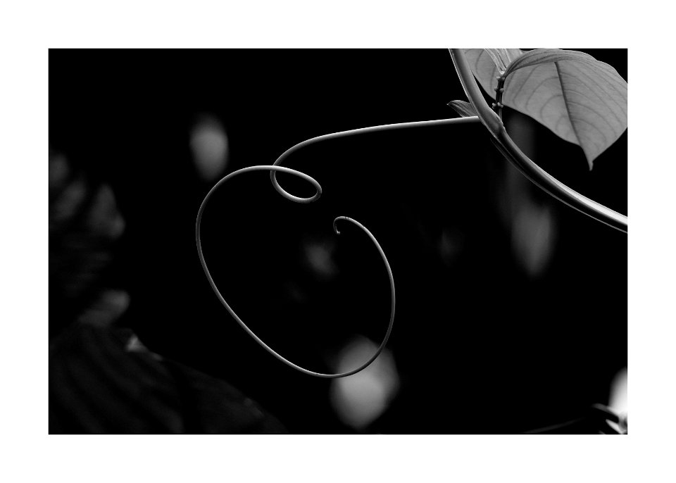 Tendril