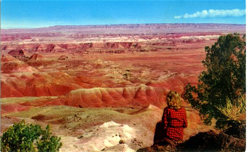 Painted Desert National Monument photo