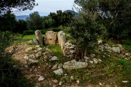 07-03-2021 Excursió per l' Albera