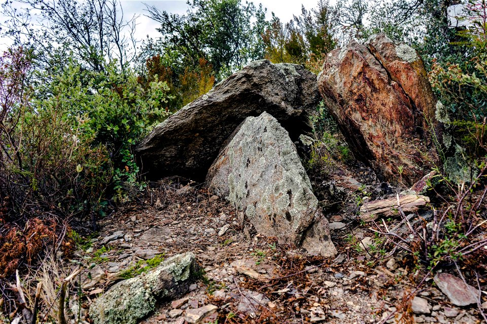 08-08-2021 Dolmens Coll de Medàs