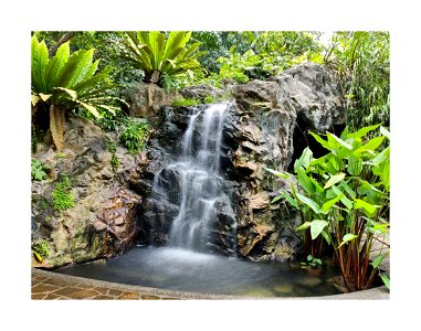 Botanic Gardens - waterfall photo