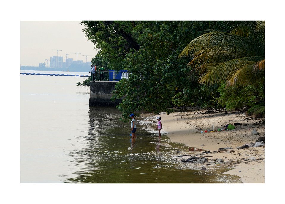 Sembawang park - catching fish