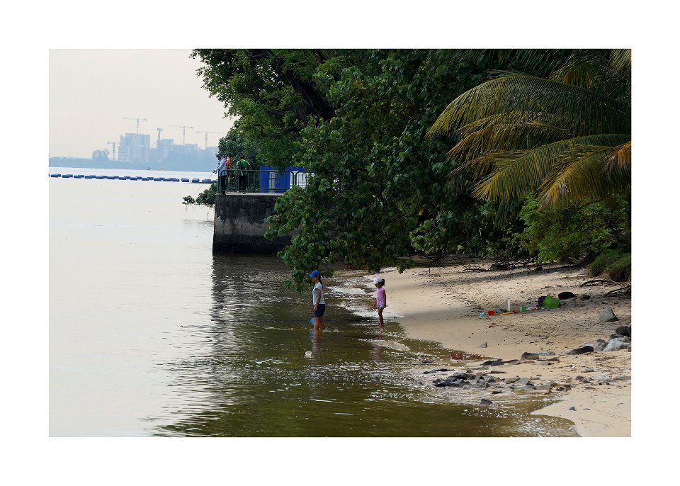 Sembawang park - catching fish photo