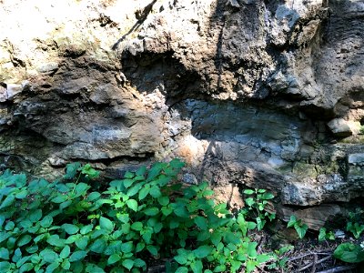 Deformation and Stromatolites in the Jefferson City-Cotter Dolomite