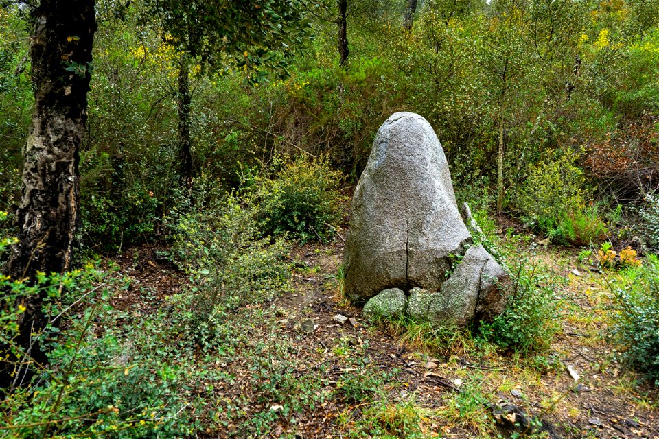 27-04-2021 Megalític de l' Albera I