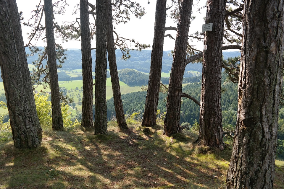 Pine rock balingen alb