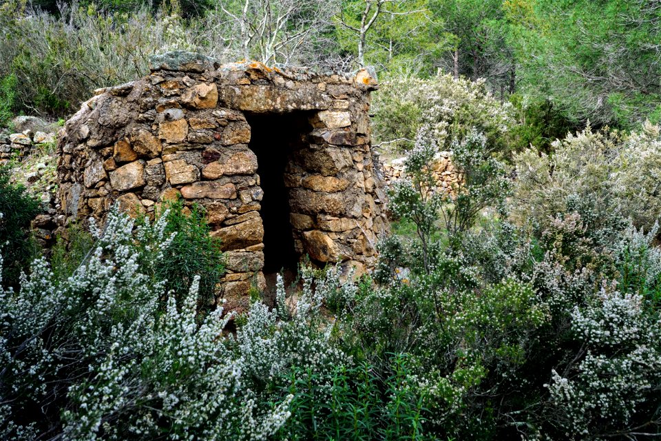 07-03-2021 Excursió per l' Albera