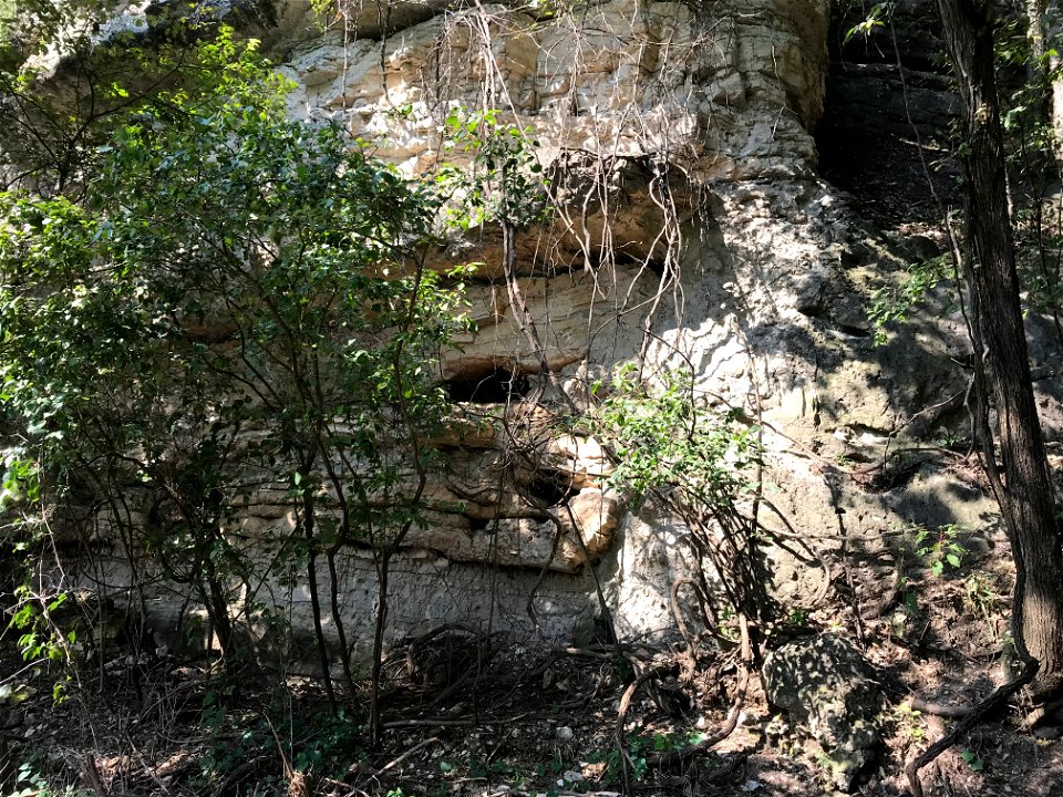 Caves in Jefferson City-Cotter