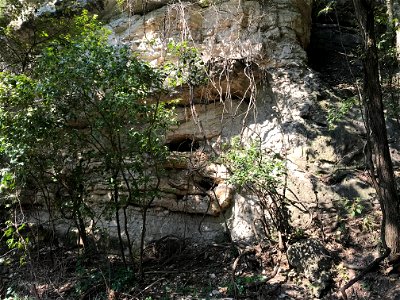 Caves in Jefferson City-Cotter