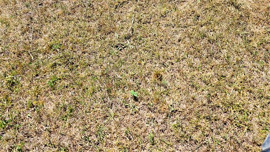 Dade 20220713-004-01 (20220713_161134)