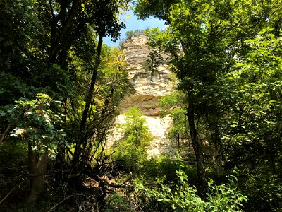 Tall Bluff of Jefferson City-Cotter 2