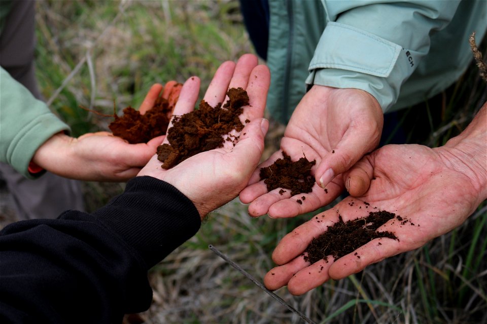 Soil Diversity