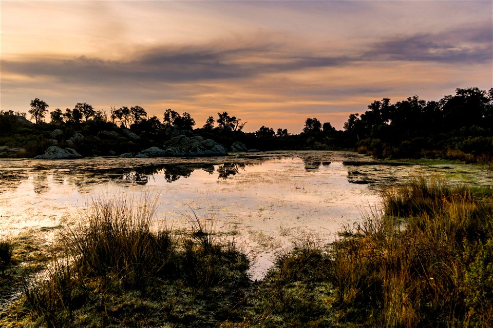 09-02-2019 Alba des de La Gutina