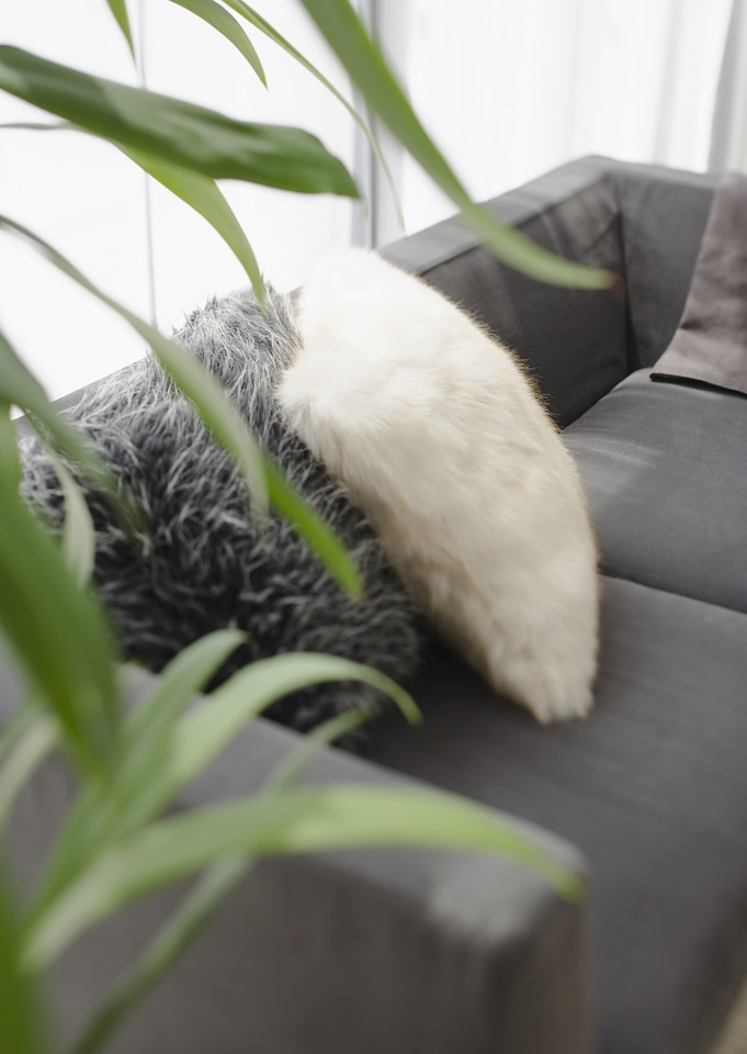Decorative pillows on a casual sofa in the living room