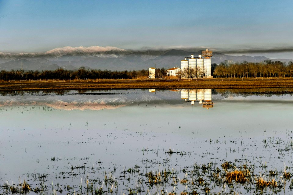 23-12-2019 Aiguamolls de l' Empordà