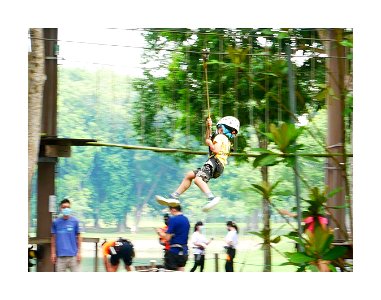 Forest adventure - zipping photo