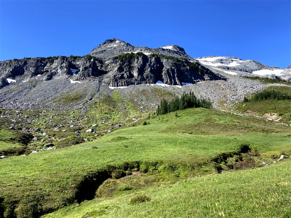 Summerland at Mt. Rainier NP in WA