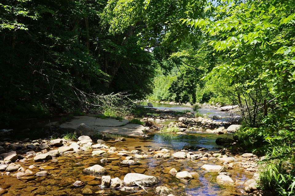 Dolly Sods West Virginia