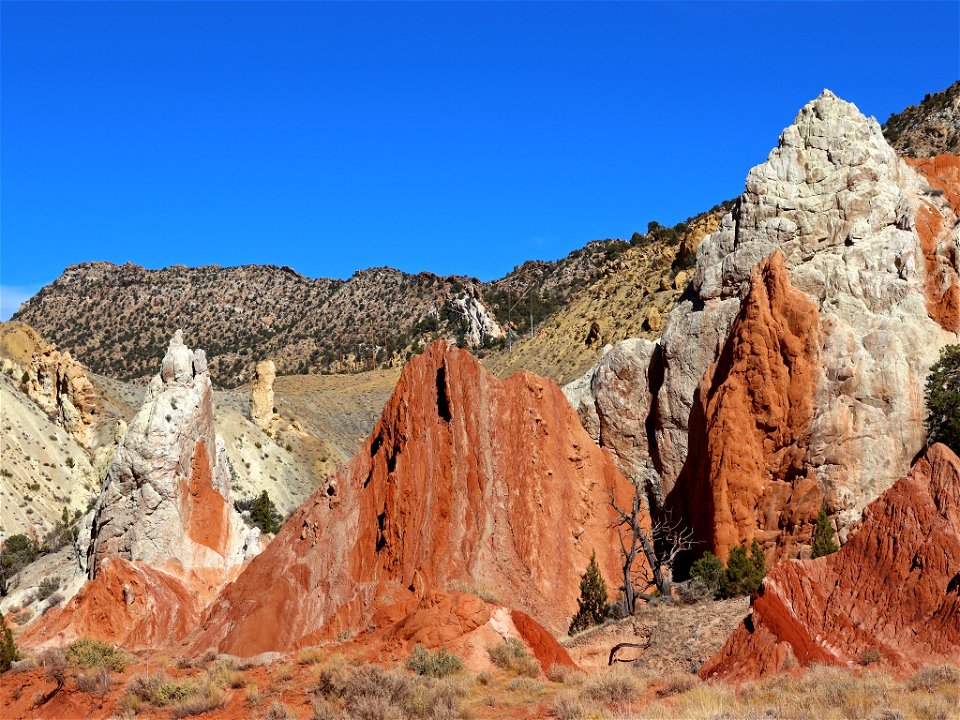 Cottonwood Narrows in UT