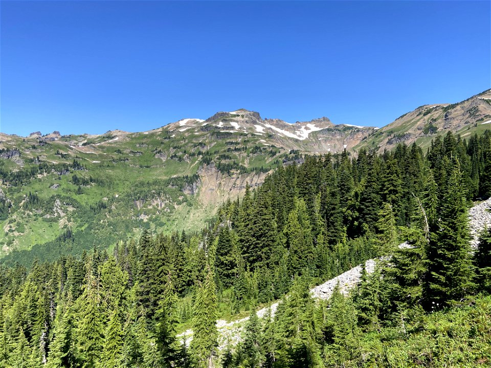 Goat Rocks Wilderness in WA