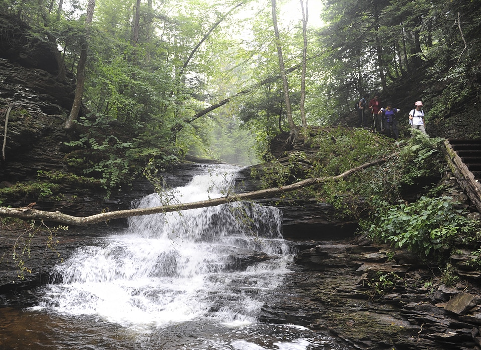Ricketts Glen State Park