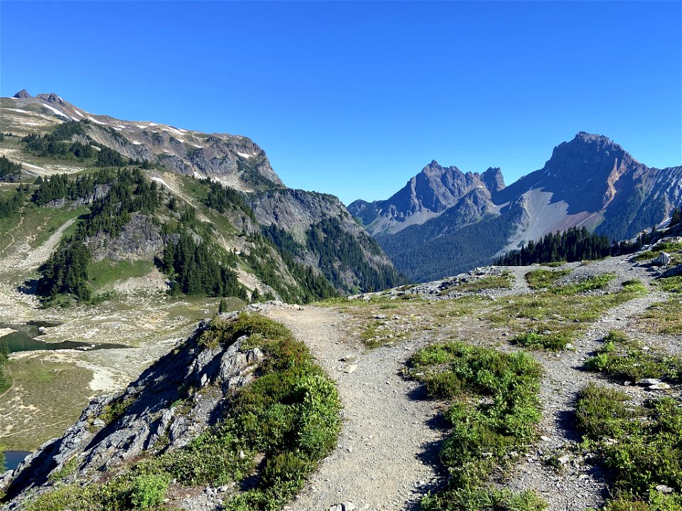 Yellow Aster Butte in WA
