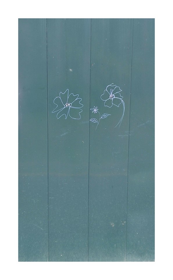 Graffiti flowers