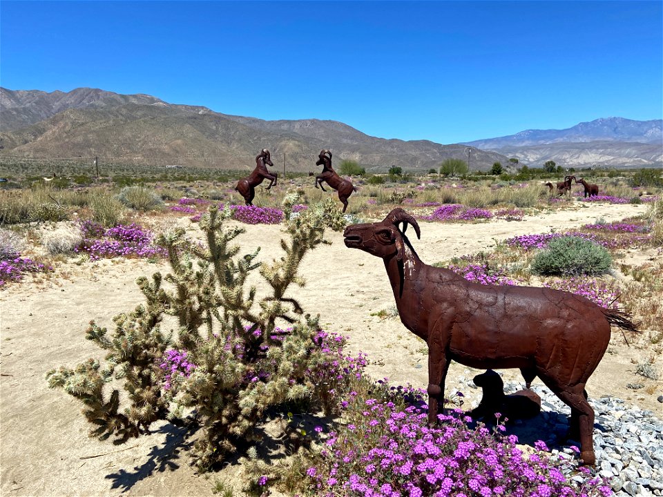Metal Art Sculpture at Anza Borrego in CA