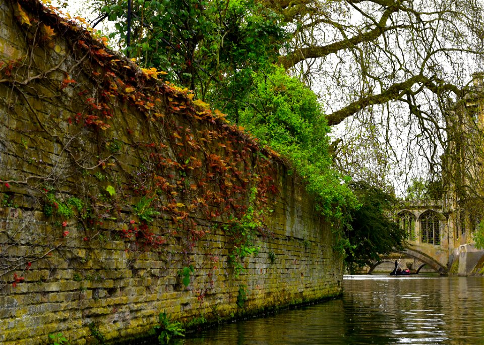 Cam River London