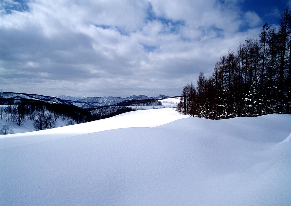 Beautiful winter landscape with snow covered trees