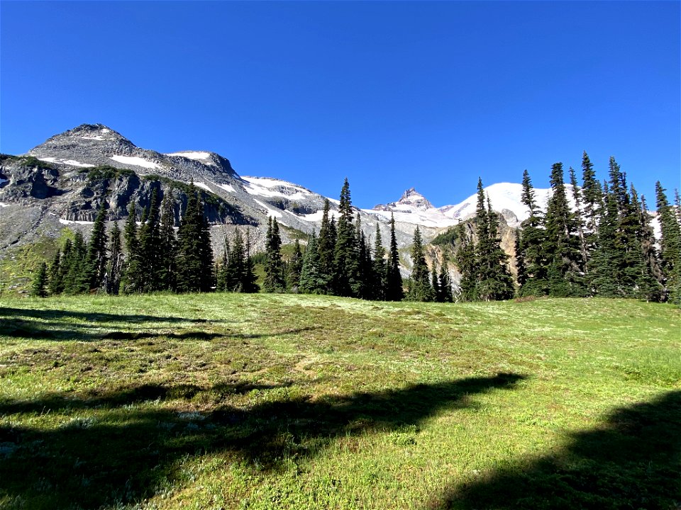 Summerland at Mt. Rainier NP in WA