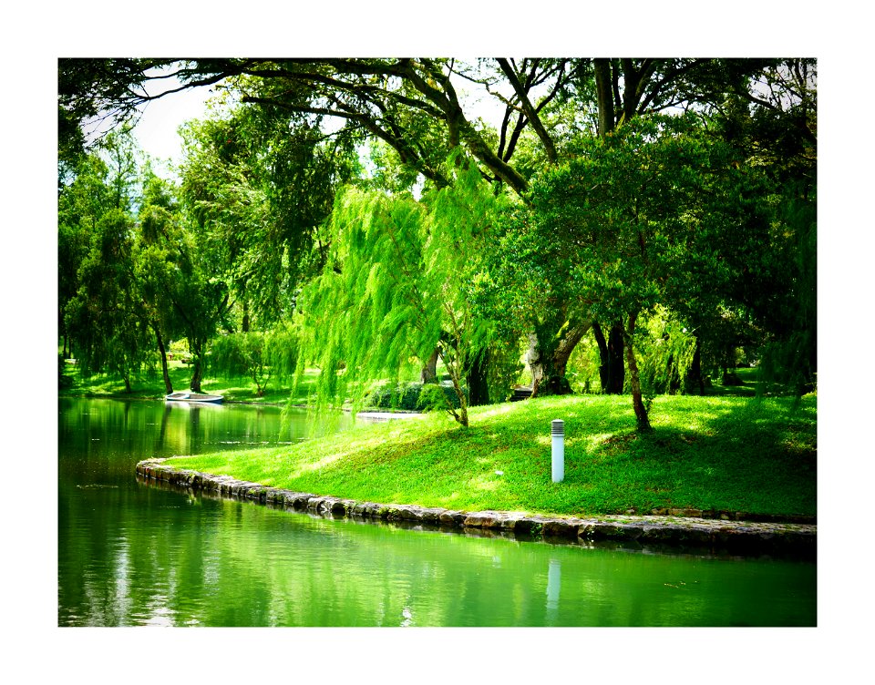 The big pond