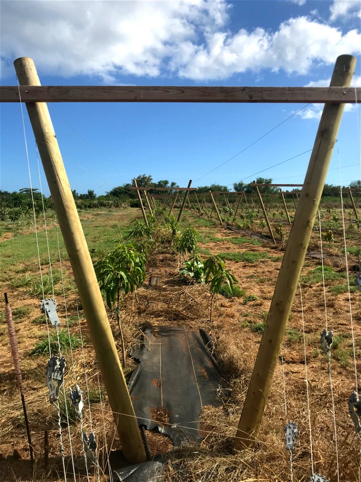 Fence Technical Details Kekaha HI 5-30-2020