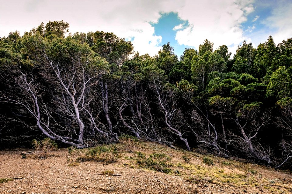 10-04-2019 Camí de Ronda de Llançà a Colera