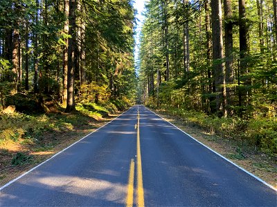 Larch Mountain in OR