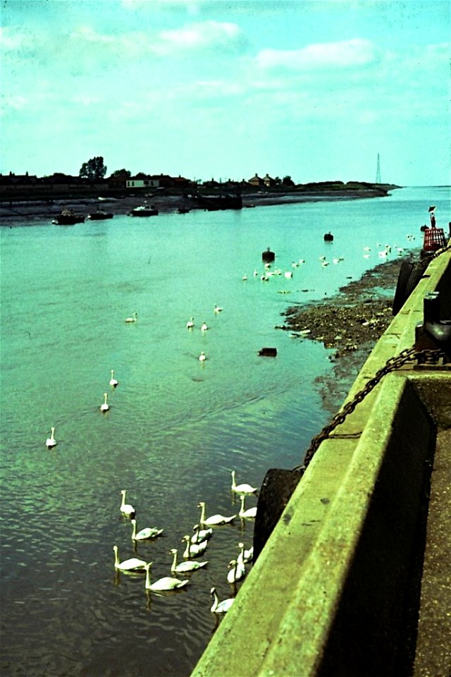King's Lynn, Norfolk, 1981
