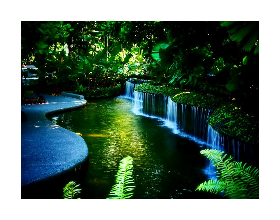 Botanic Gardens
