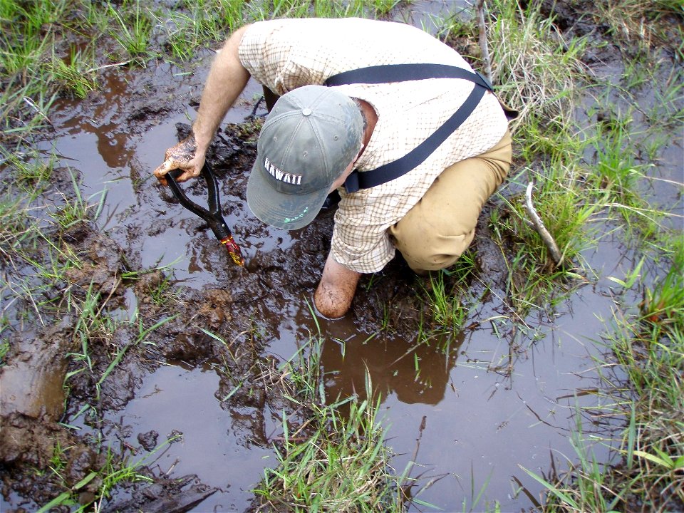 Hawai'i Soil Survey