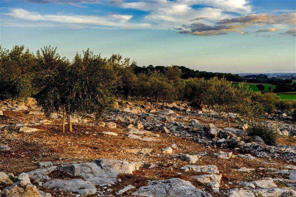 02-11-2019 La Garriga d'Avinyonet de Puigventós