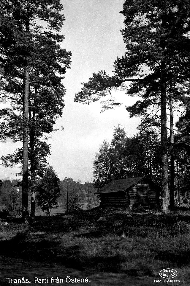 0378 Parti från Östanåparken