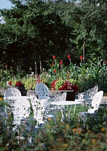 beautiful garden with white tea table and chairs photo
