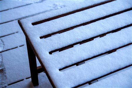 Winter Snow