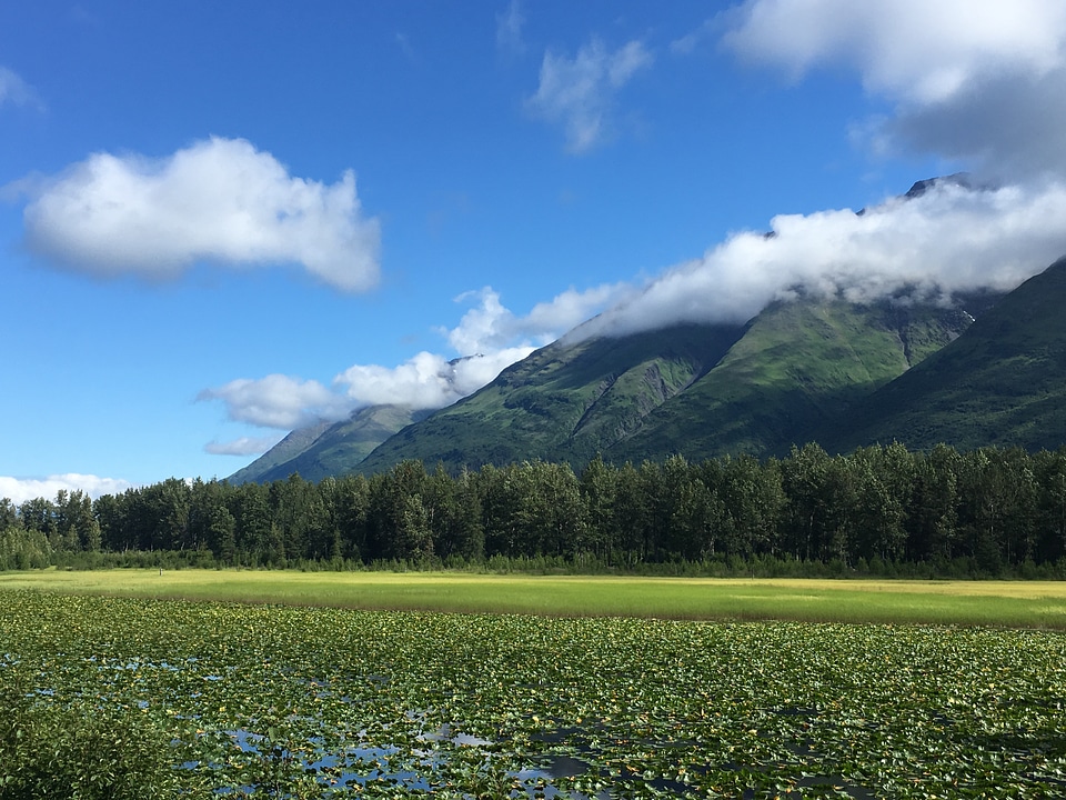 Amazing view of landscape mountain in Alaska