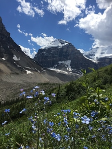 Hiking the Plain of Six Glaciers Trail photo