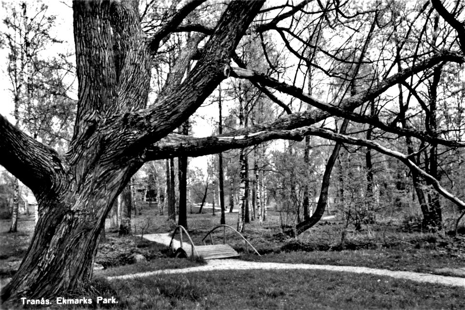 014 Ekmarkspark 1960