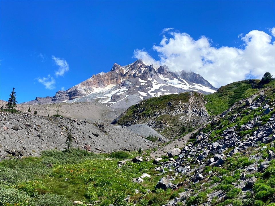 Paradise Park at Mt. Hood in OR