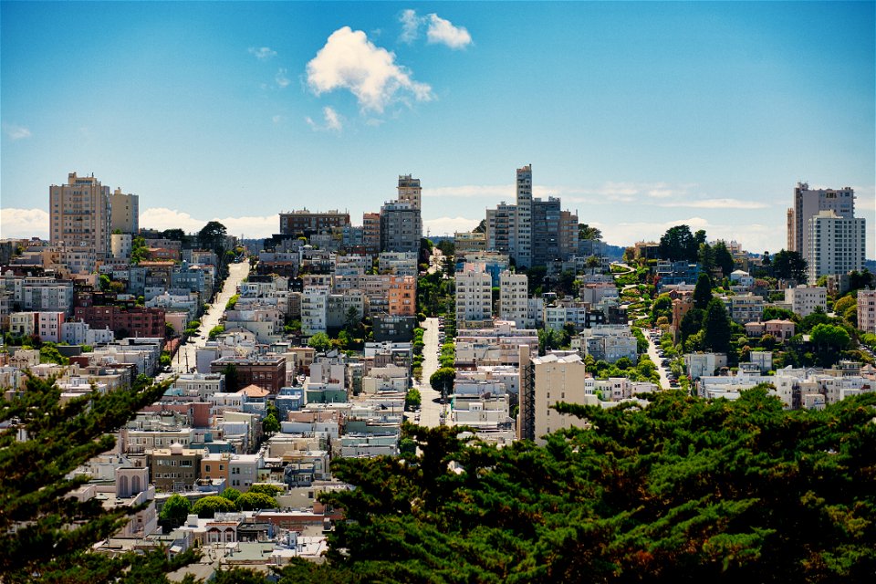 San Francisco [6181]