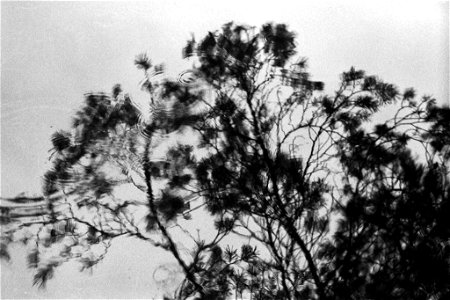 Frame 26
